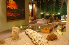 Doğal Fosilleşmiş Orman Müzesi